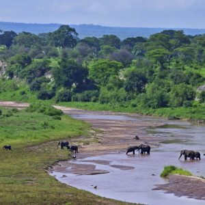 125f1fd9b0b8b37195668a356e6a22a7-tarangire-national-park