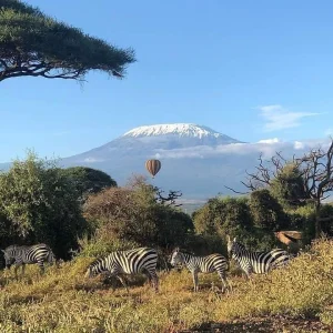 IMG_20211207_232507_271