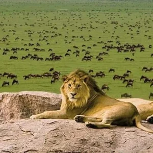 IMG_20220605_115235_024