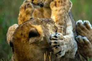 IMG_20221003_174320_979