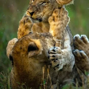 IMG_20221003_174320_979