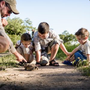 can-you-take-kids-on-safari-1