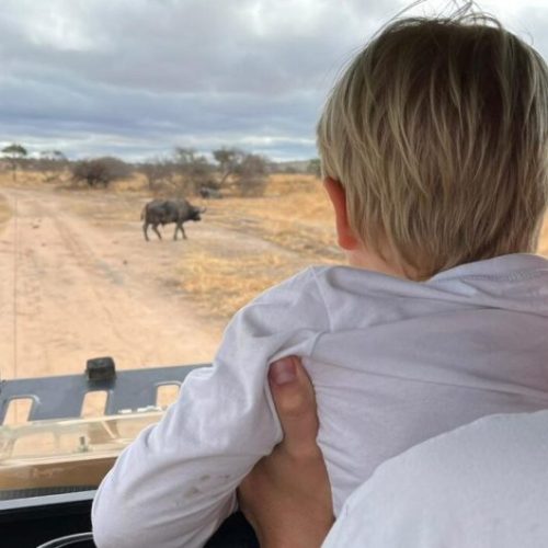 children-safari3-1140x530