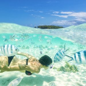 gettyimages-1474813790