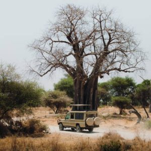 Modified 4X4 safari vehicle on the gravel road through the wild savannah in East Africa