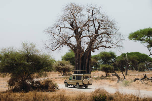 Modified 4X4 safari vehicle on the gravel road through the wild savannah in East Africa