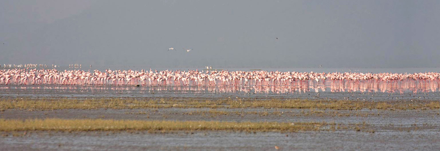 lake-natron